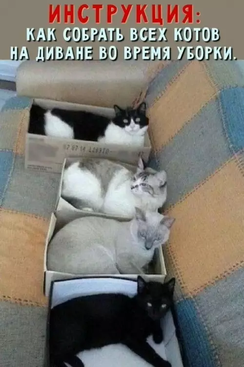 Смешная картинка №793376