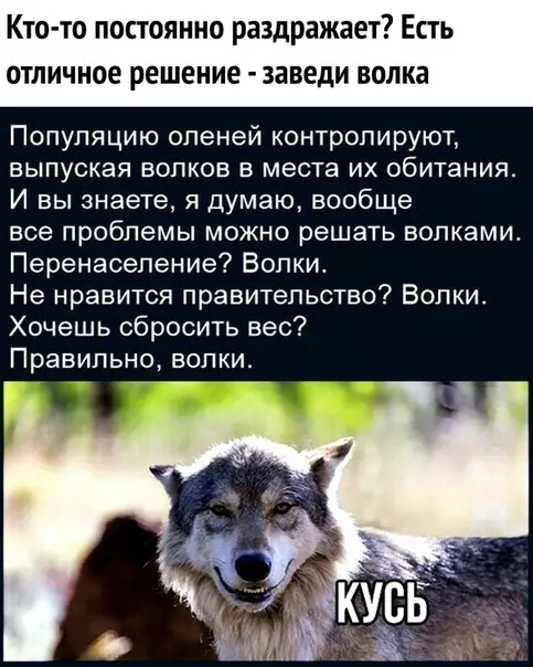 Смешная картинка №291547