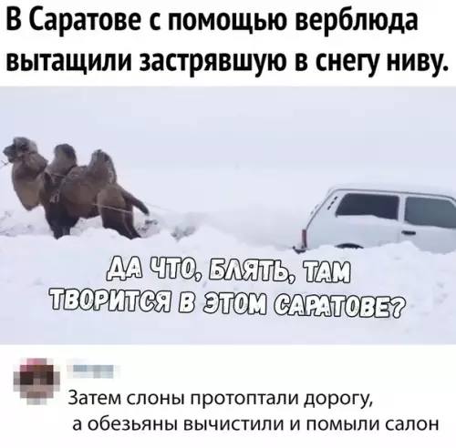 Смешная картинка №330632 саратов