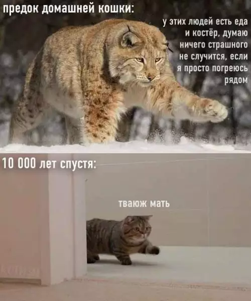 Смешная картинка №521364 Беспощадная эволюция