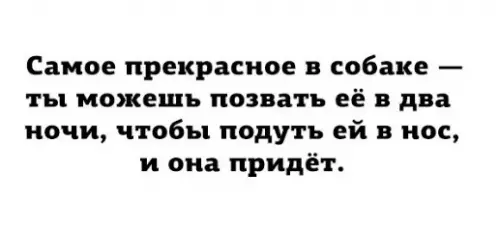 Смешная картинка №303874