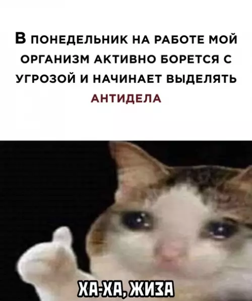 Смешная картинка №518000