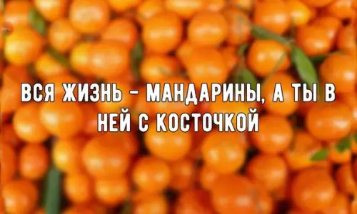 Смешная картинка №236675 И толстой шкуркой