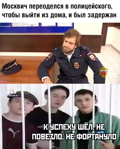 Смешная картинка №486870