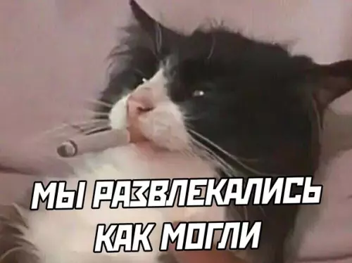 продолжение Смешная картинка №590266