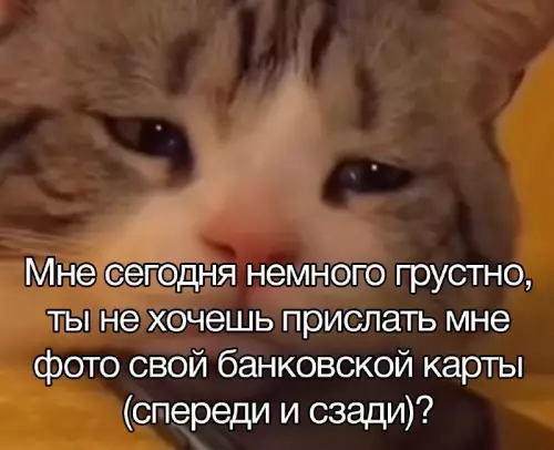 Смешная картинка №724591