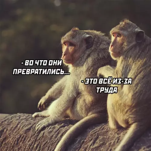 Смешная картинка №649073