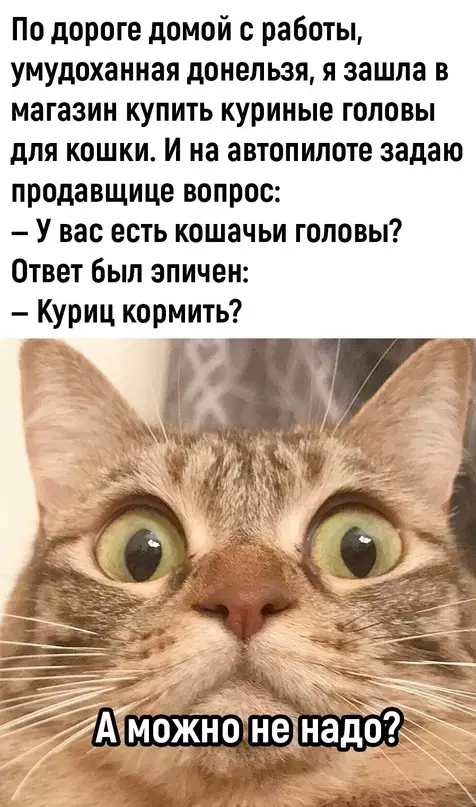 Смешная картинка №670397
