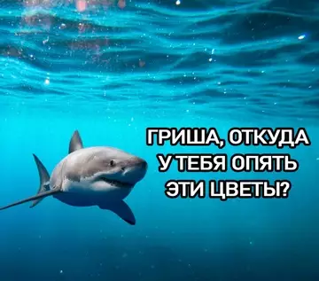 Смешная картинка №748537 Высокоинтеллектуальный юмор