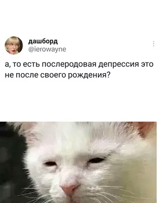 Смешная картинка №687101