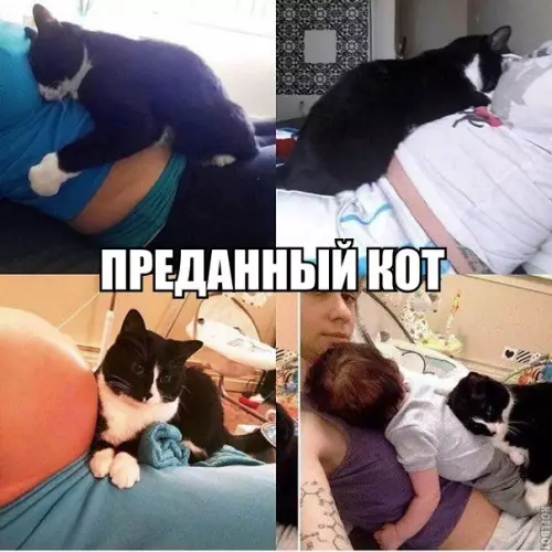Смешная картинка №282820