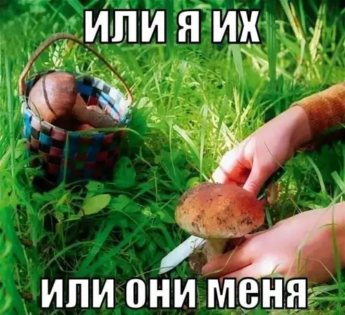 Смешная картинка №774992