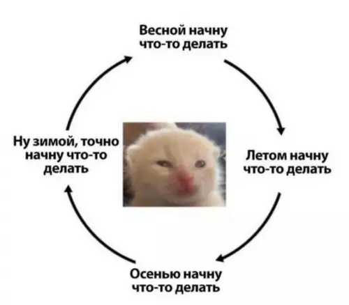 Смешная картинка №718588