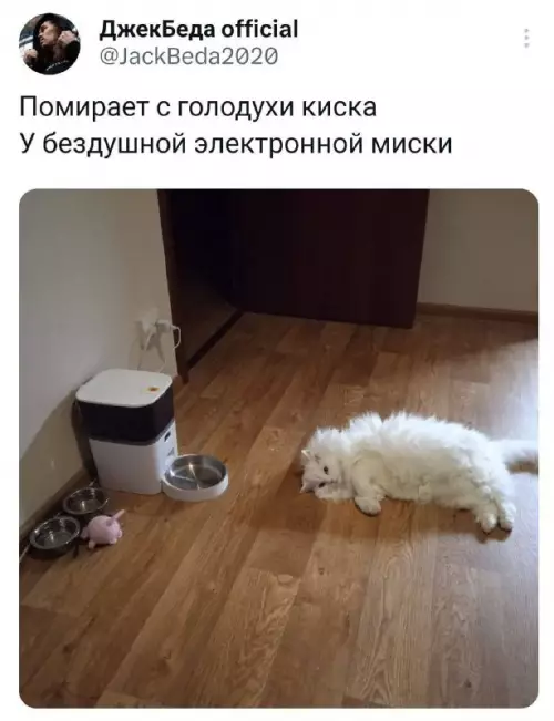 Смешная картинка №710560