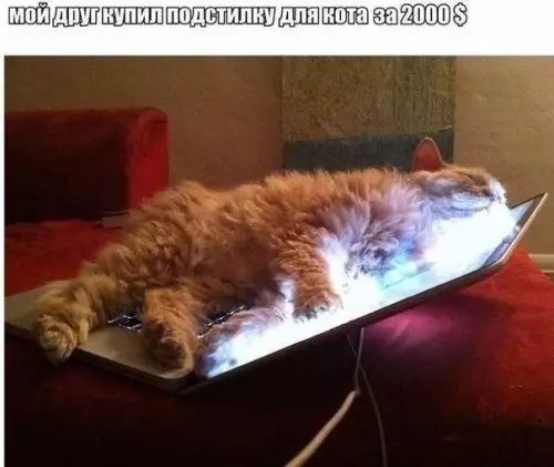 Смешная картинка №307683