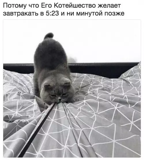 Смешная картинка №211258