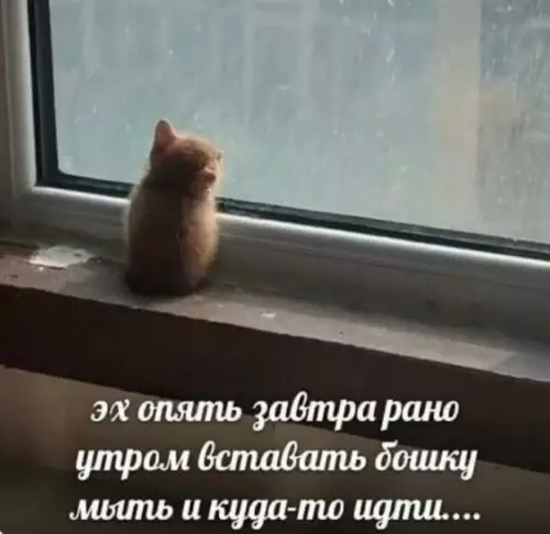 Смешная картинка №721223