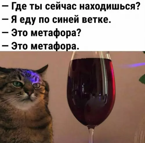 Смешная картинка №612325 Доброе утро алкоголь