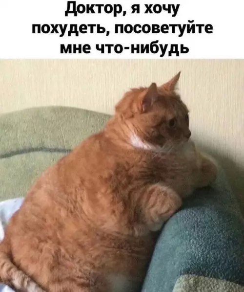 Смешная картинка №614159 Bмecтo