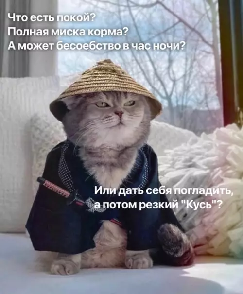 Смешная картинка №682332