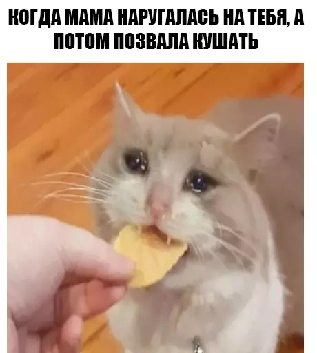 Смешная картинка №349215 То самое чувство..