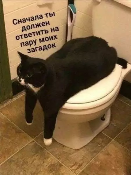 Смешная картинка №658740