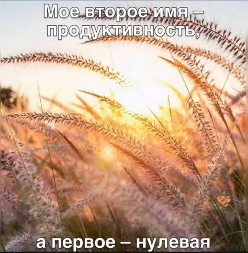 Мой уровень продуктивности сегодня 🤡 - Мое второе имя продуктивность, а первое нулевая