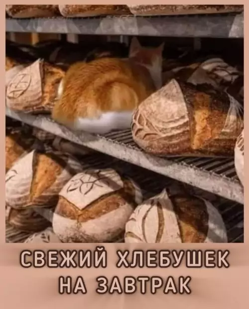 Смешная картинка №796418