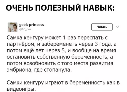 Смешная картинка №300186