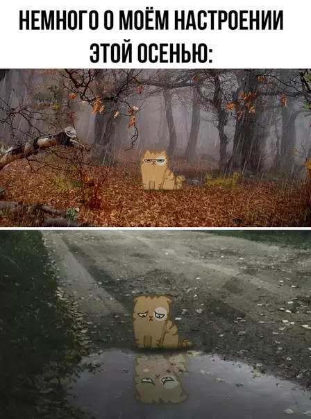 Смешная картинка №387428