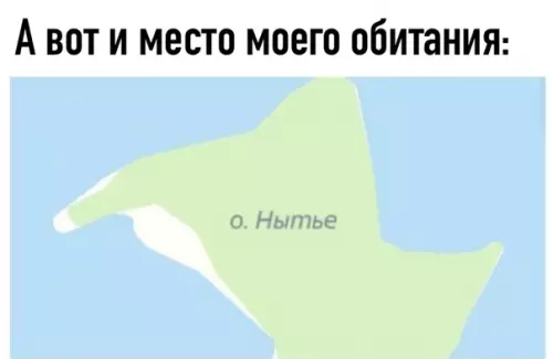 Смешная картинка №518594 Добро пожаловать