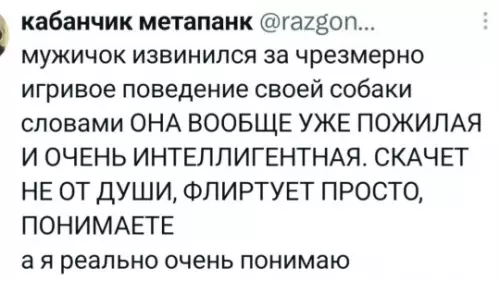 Когда собака — та еще кокетка 🐶✨ - кабанчик метапанк razgon... мужичок извинился за чрезмерно игривое поведение своей