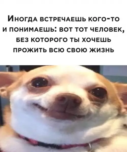 Смешная картинка №500692