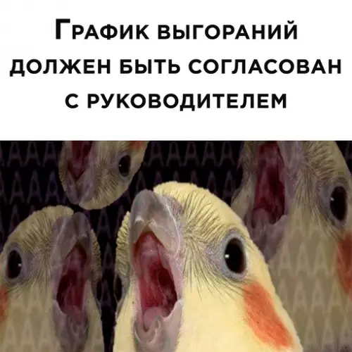 Смешная картинка №630056