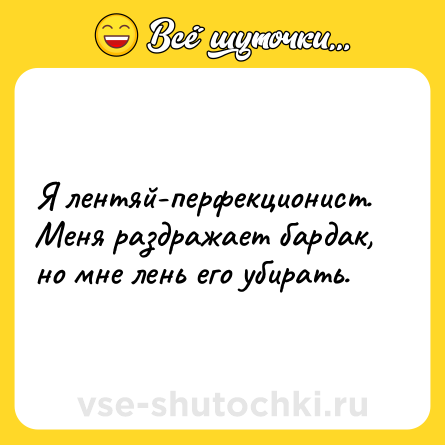 Шутка: Я лентяй-перфекционист. Меня раздражает бардак, но мне лень его убирать.