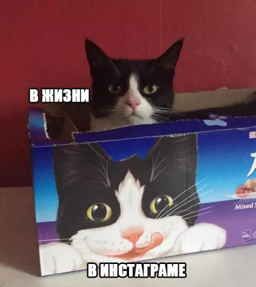 Смешная картинка №276305
