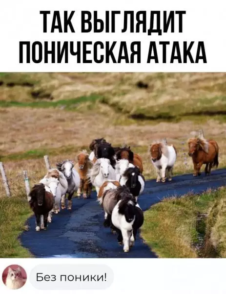 Смешная картинка №688734