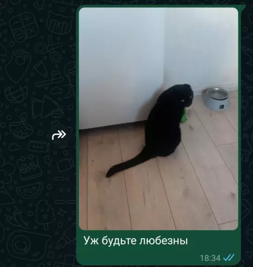 продолжение Смешная картинка №725166