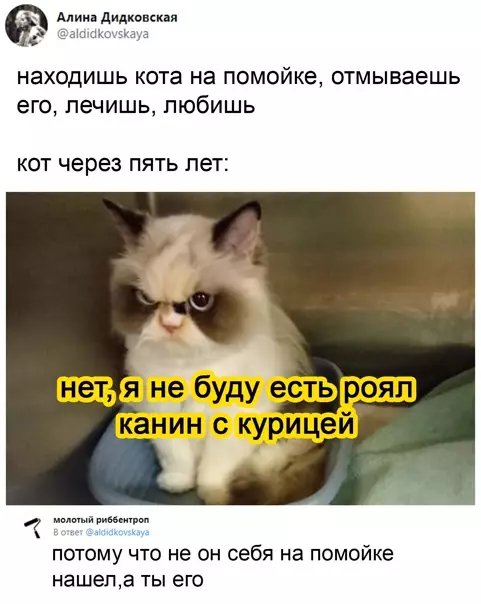 Смешная картинка №551332 Пoпa pacтёт, мopдa нaглeeт