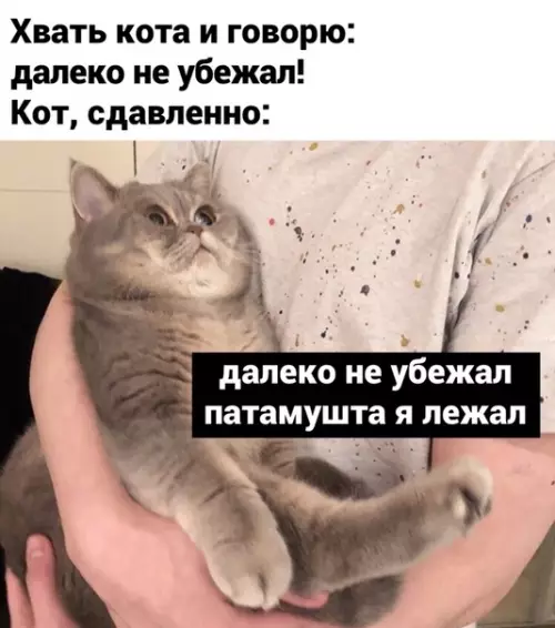 Смешная картинка №467918