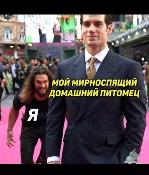Смешная картинка №358822