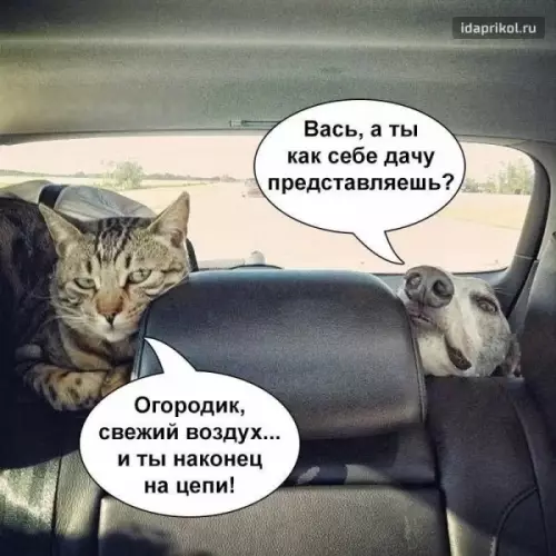 Смешная картинка №261293