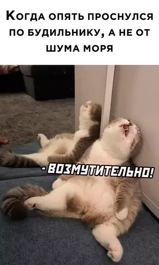 Смешная картинка №673182