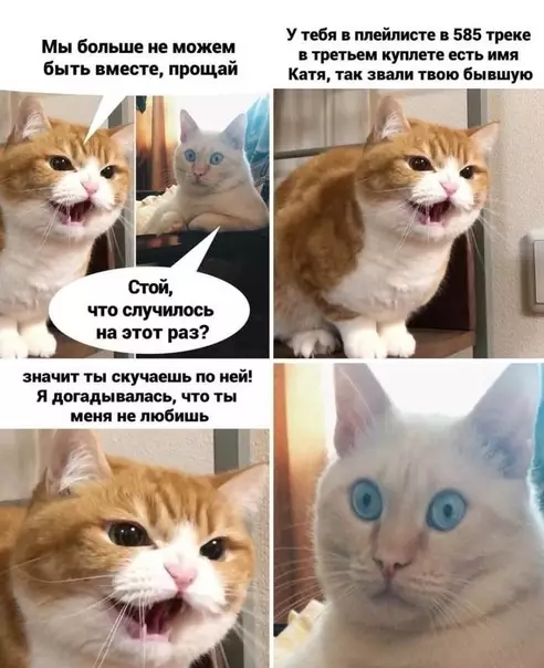 Смешная картинка №555645 Особый тип женщин: когда нет до чего докопаться - она придумает и докопается! ?