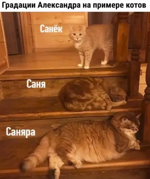 Смешная картинка №645744