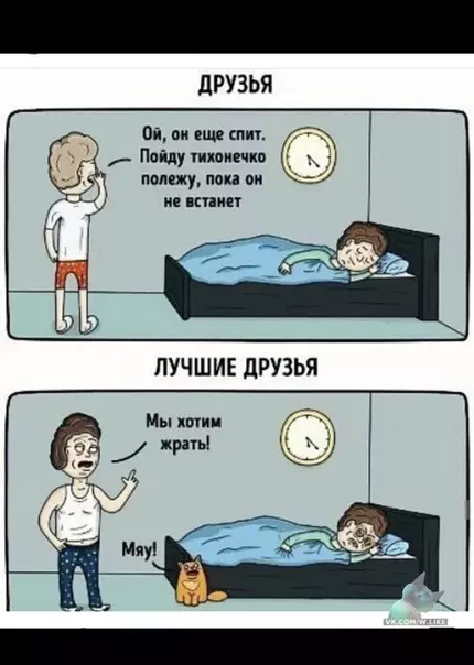 Смешная картинка №342097