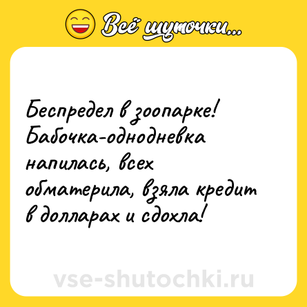 Шутка: Беспредел в зоопарке! Бабочка-однодневка напилась, всех обматерила, взяла кредит в долларах и сдохла!
