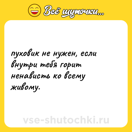 Шутка: пуховик не нужен, если внутри тебя горит ненависть ко всему живому.