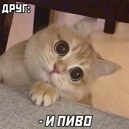 продолжение Смешная картинка №613432 Когда в детстве пришли в ларёк с другом: