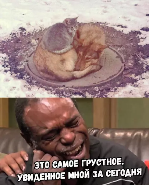 Смешная картинка №331789